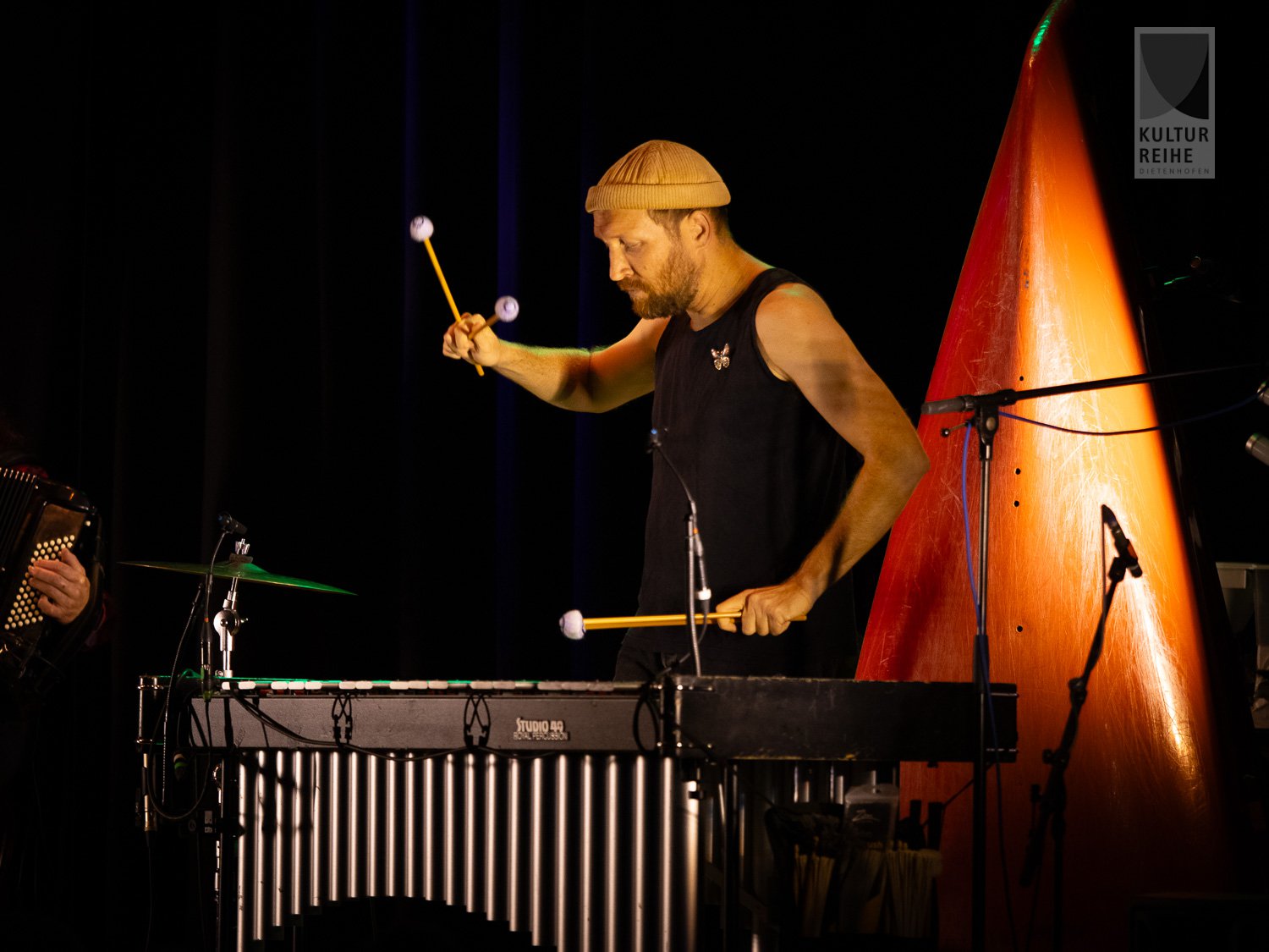 Gankino Circus
